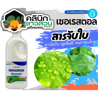 🥬 เชอเรสตอล (สารจับใบลดแรงตึงผิว) บรรจุ 1ลิตร สารจับใบเกาะติด ดูดซึมดี ทนการชะล้าง