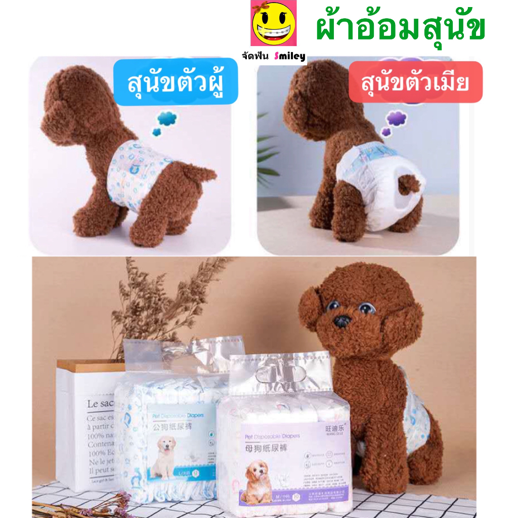ผ้าอ้อมสุนัข โอบิสุนัขเพศผู้ แพมเพิสสุนัขตัวผู้ แพมเพิสสุนัขเพศเมีย แพมเพิสหมา โอบิสุนัขตัวผู้ ผ้าอ้อมหมา ผ้าอนามัยสุนัข