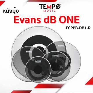 หนังมุ้ง Evans dB ONE ECPPB-DB1-R