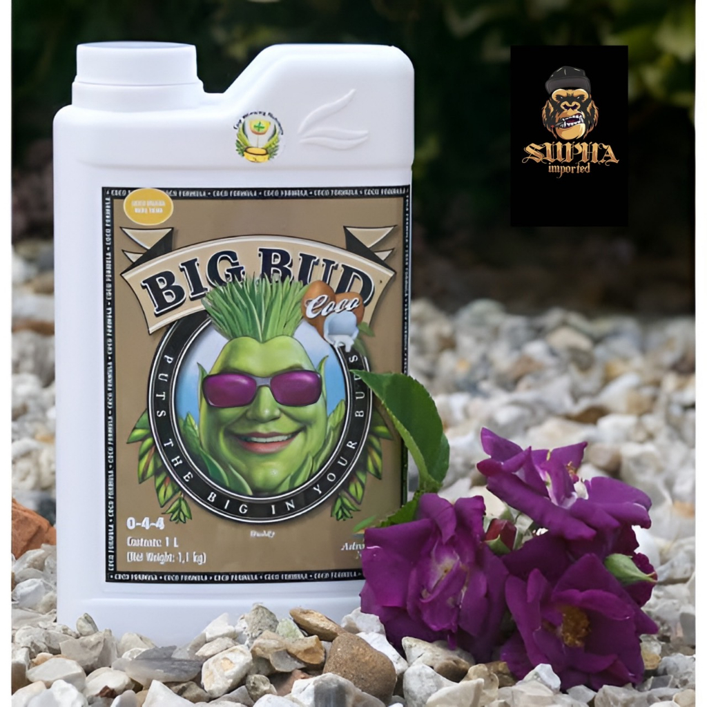 ปุ๋ย Big Bud CoCo เร่งดอกใหญ่ปุ๋ย Advanced Nutrients ปุ๋ยเร่งดอกใหญ่ เพิ่มน้ำหนักดอกและผลผลิต ขนาด 1L ขวดแท้โรงงาน