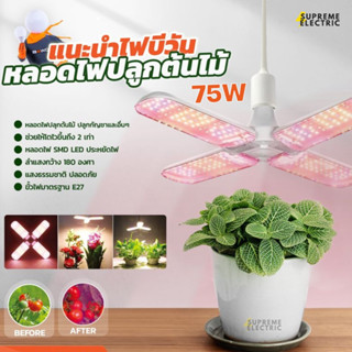 ✨ หลอดไฟปลูกต้นไม้ 75W Bewon LED GROW LIGHT☘️ ปลูกกัญฯ☘️ไม้สวยงาม ไม้ประดับ 🪴เพาะต้นกล้า🪴ช่วงทำใบระยะต้น