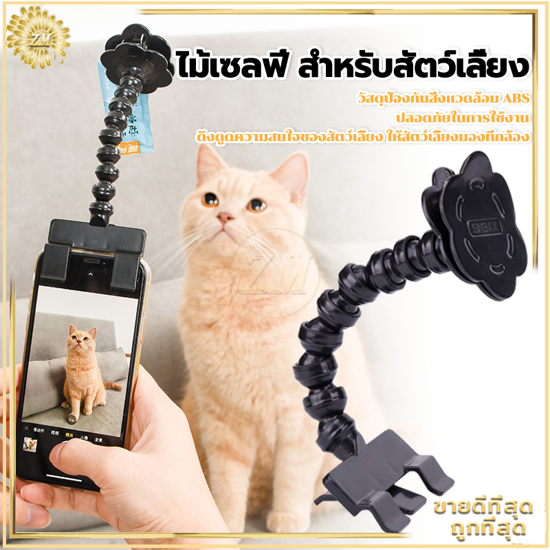 ไม้เซลฟี่ สำหรับสัตว์เลี้ยง นวัตกรรมสำหรับการถ่ายรูปสัตว์เลี้ยง ที่จะได้ภาพมุมคิ้วท์ๆ ของน้องๆ ด้วยตัวคุณเอง ของเล่นแมว