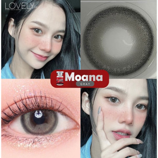 Moana gray,brown คอนแทคเลนส์ บิ๊กอาย bigeye