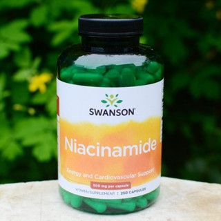 ขวดใหญ่สุดคุ้ม 250 เม็ด  Swanson Vitamin B3 Niacinamide 500 mg 250 capsules niacin ไนอะซิน วิตามินบี3 จากอเมริกาค่ะ