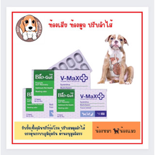 V-Max Bio Gut 20g. ปรับสมดุลทางเดินอาหาร สำหรับหมาแมวท้องเสีย (1กล่อง มี10เม็ด)