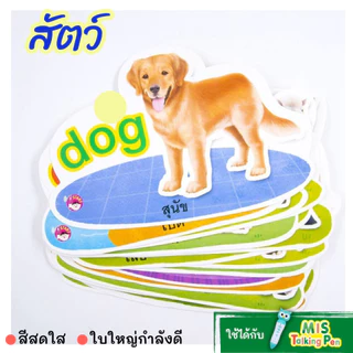 #แฟลชการ์ดมาใหม่สดใสกว่าเดิม ✔️Flash Card สนุก กระตุ้นสมอง ใช้กับ Talking Pen ได้ ก-ฮ A-Z กไก่ abc