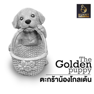 ตระกร้าน้องโกลเด้น The Golden Puppy  กระถาง ปูนปั้น จัดสวน ประดับสวน แต่งสวน ใส่ต้นไม้ "Bunny Brown"