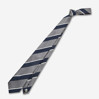 SUIT SELECT Slim Stripe Color Tie