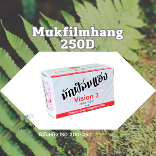 แหล่งขายและราคาฟิล์มหนัง Mukfilmhang vision3 250D /36ภาพอาจถูกใจคุณ