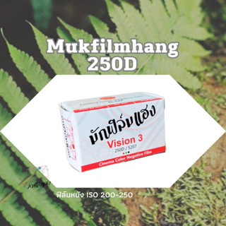 ราคาฟิล์มหนัง Mukfilmhang vision3 250D /36ภาพ