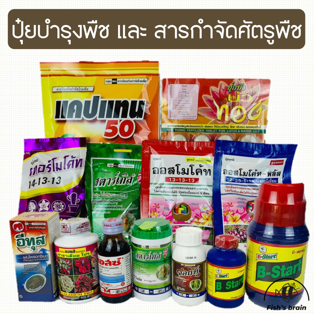 100กรัม ปุ๋ยออสโมโค้ท บำรุงต้น ออสโมโค้ท ออสโมโค้ทพลัสบำรุงดอก สตาร์เกิลจี เทอร์โมโค้ท แคปแทน มัลติเทค ไตรโคเดอร์มา