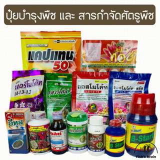 100กรัม ปุ๋ยออสโมโค้ท บำรุงต้น ออสโมโค้ท ออสโมโค้ทพลัสบำรุงด…