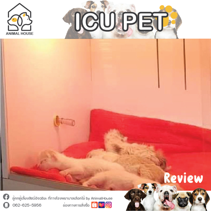 ตู้กกลูกนก ตู้ฟักไข่ ตู้สำหรับสัตว์เลี้ยง Exotic ด้วยระบบควบคุมอัตโนมัติ Size:M - รูปที่ 4