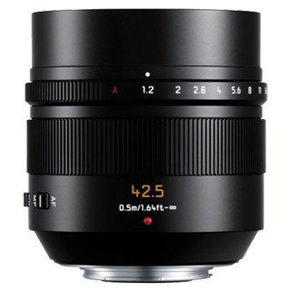 Panasonic Leica DG Nocticron 42.5mm f/1.2 ASPH