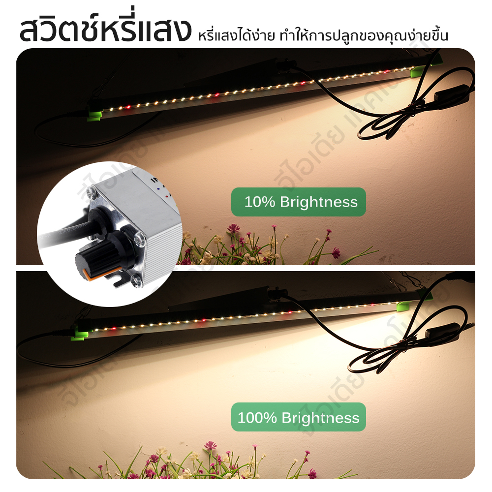 LEDไฟปลูกต้นไม้ Grow Light เต็มสเปกตรัม 850W 1500W LM281B รูปที่ 4