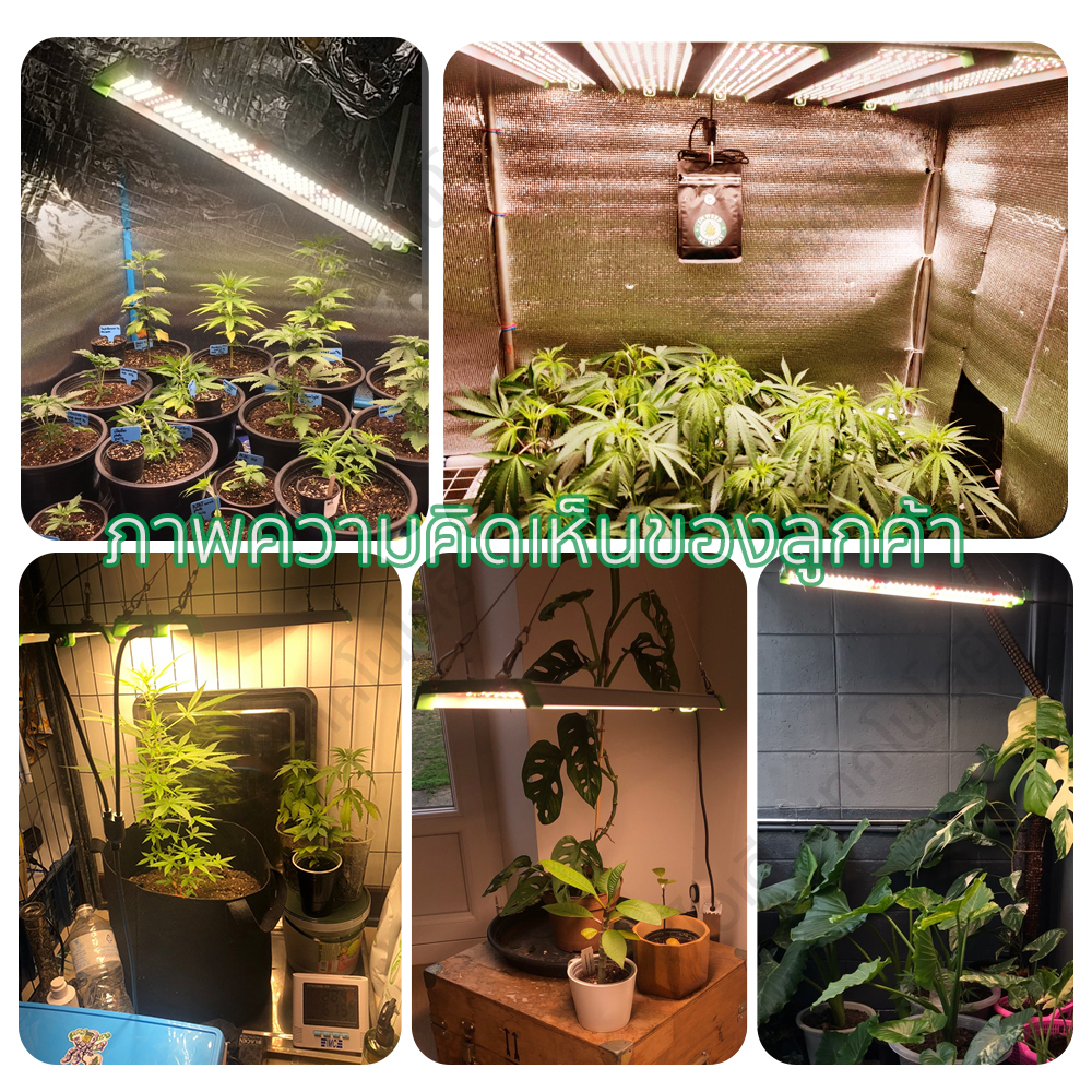 LEDไฟปลูกต้นไม้ Grow Light เต็มสเปกตรัม 850W 1500W LM281B รูปที่ 2