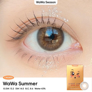 Sissè lens WaWa Summer คอนแทคเลนส์รายเดือนนำเข้าจากเกาหลี