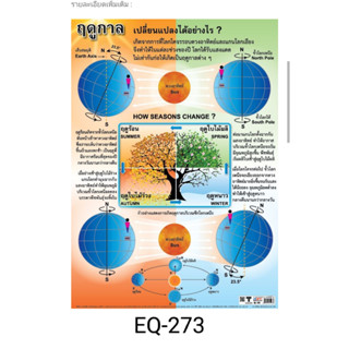 ฤดูกาล EQ 273 โปสเตอร์สื่อการสอน หุ้มพลาสติก ขนาด 50 * 70 cm