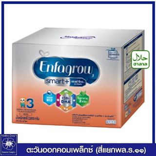 *เอนฟาโกร 3 สมาร์ท พลัส  ชนิดจืด 2850 กรัม (เอนฟา) 8570
