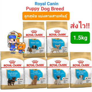 Royal Canin Breed Chihuahua Shihtzu Poodle York Pug Jack Russel Puppy 1.5kg โรยัลคานิน ลูกสุนัข สูตรเฉพาะสายพันธุ์