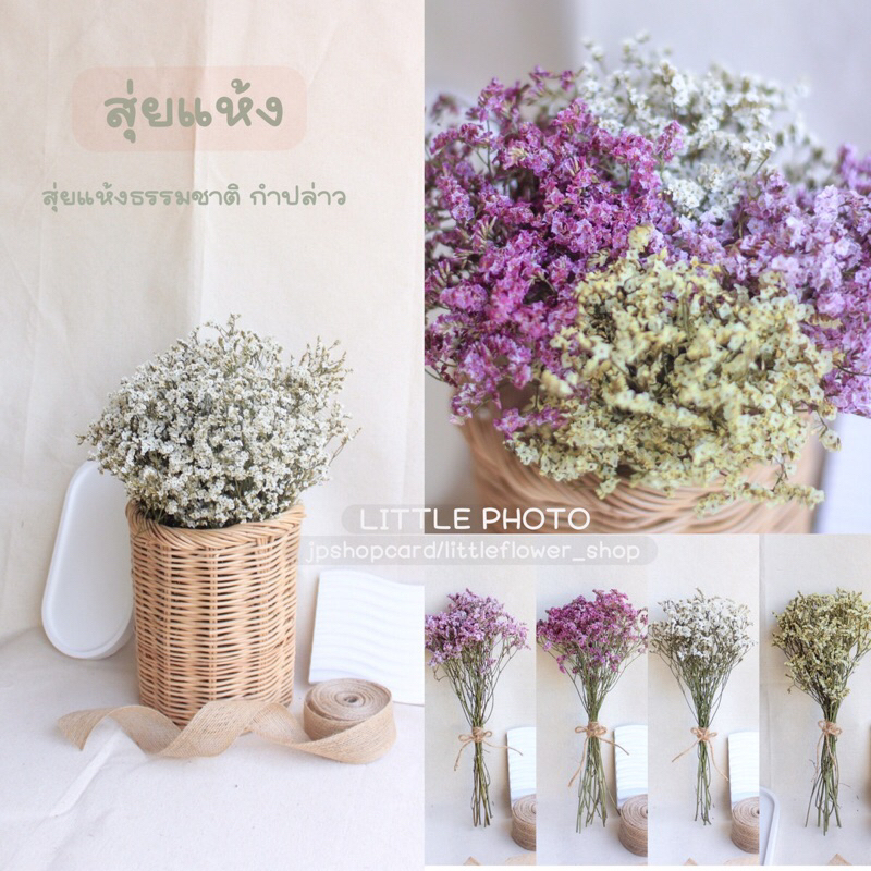 JPCraft🌻-สุ่ยแห้ง ดอกสุ่ยแห้ง  ดอกไม้แห้ง สุ่ยแห้งกำปล่าว สีธรรมชาติ (F4)