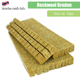 Rockwool Grodan แบบแผ่น 98 หลุม เพาะปลูกต้นกล้าเมล็ดพันธ์ุ เพาะชำ ไฮโดรโปนิกส์ ROCKWOOLS