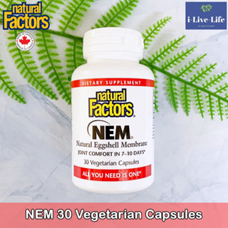 Natural Factors - NEM 500 mg 30 Vegetarian Capsules ผลิตภัณฑ์เสริมอาหาร เยื่อหุ้มเปลือกไข่ธรรมชาติ