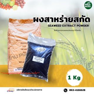 สาหร่ายสกัดผง Seaweed Extract Powder สาหร่ายทะเลเร่งดอก  บรรจุ 1 กิโลกรัม