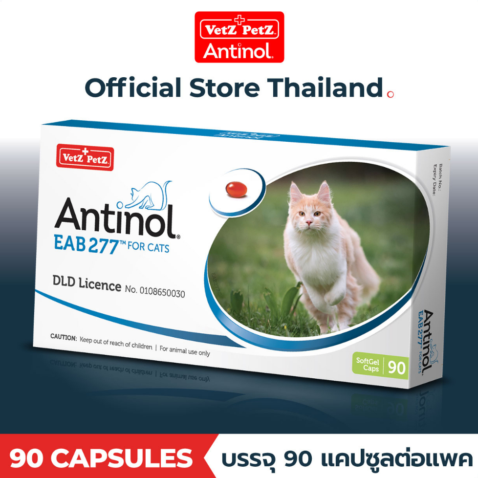[Official Store] แอนทินอล Antinol® EAB 277™for cat 90 แคปซูล