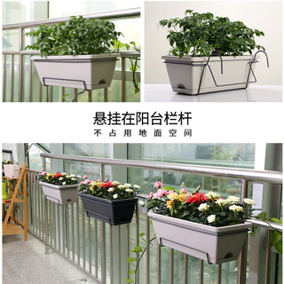 🏠LIFE🏠 ที่แขวนกระถางต้นไม้แบบเหล็ก กระถางแขวนผนัง flower stand HK003-004