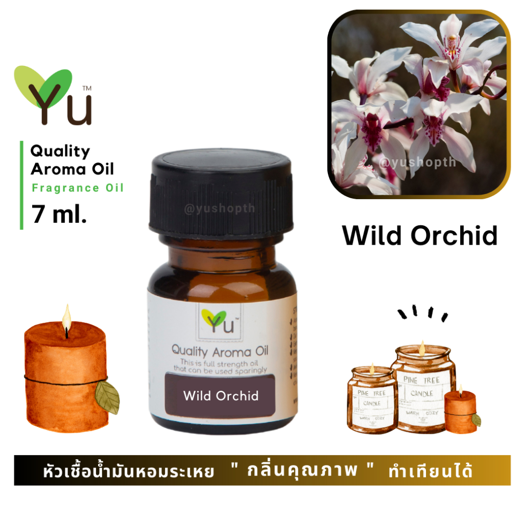🌟🎁 7 ml. กลิ่น Wild Orchid (ดอกกล้วยไม้ป่า) 🌟หัวเชื้อน้ำมันหอมระเหย กลิ่นคุณภาพ | Quality Aroma Oil 🌟 เลือกกล่องได้ !