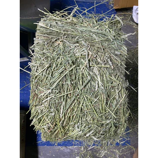 หญ้าทิมโมธี แบบปึก 3 กิโลกรัม หญ้าทิมโมธี นำเข้าจาก USA