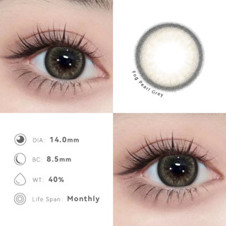 MIDROO🌈 คอนแทคเลนส์ คอนแทคเลนส์ สียอดนิยม บิ๊กอาย FOG PEARL 1คู่- 14.0mm