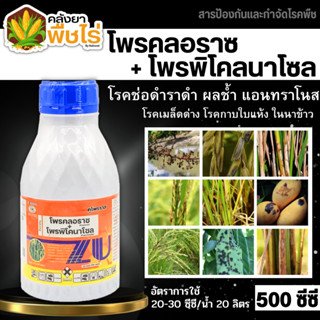 🌽 คูโปรราซ (โพรคลอราซ+โพรพิโคนาโซล) 500ซีซี ป้องกันเชื้อราแอนแทรคโนส ช่อดอกดำ ผลเน่า กาบใบแห้ง