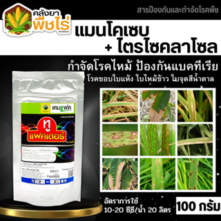 🌽 ทูแฟคเตอร์ (แมนโคเซบ+ไตรไซคลาโซล) 100กรัม ป้องกันเชื้อราโรคไหม้ ใบไหม้ใบจุด