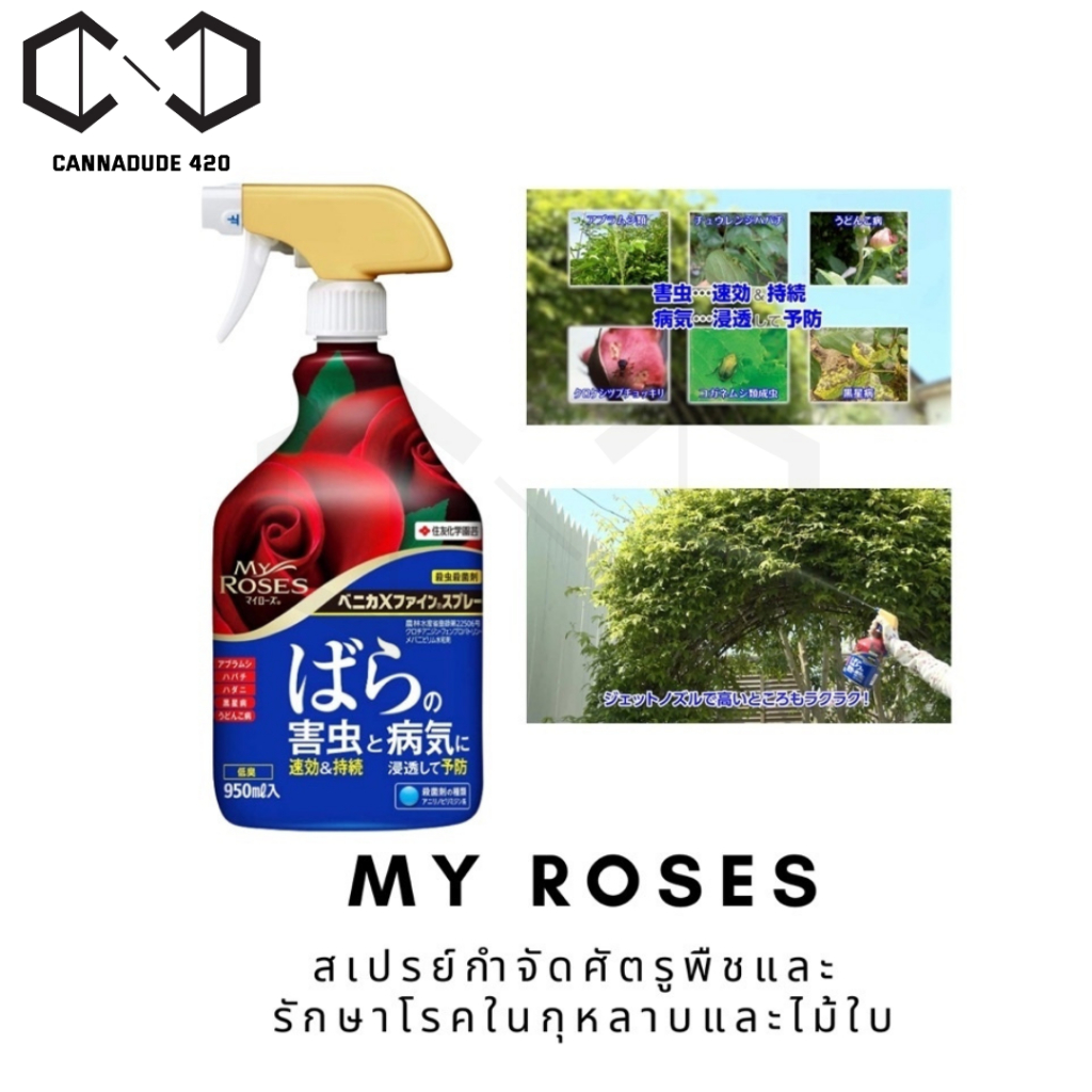 สเปรย์กุหลาบ My Roses ป้องกันโรคและกำจัดศัตรูพืชสำหรับกุหลาบ จากญี่ปุ่น 950ml benica My rose Fertilizer ปุ๋ยกุหลาบ สเปรย