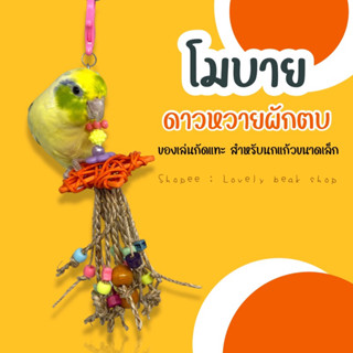 โมบายดาวหวายผักตบ ของเล่นนก ของเล่นกัดแทะคลายเครียดจากผักตบชวา สำหรับนกแก้วขนาดเล็ก