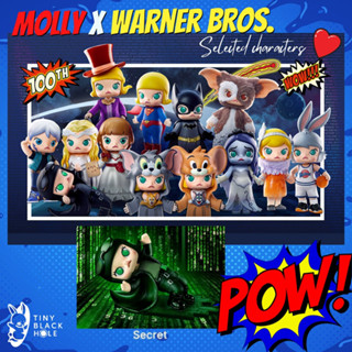 [พร้อมส่ง ระบุตัว] Pop Mart: Molly x Warner Bros. 100th Anniversary Series