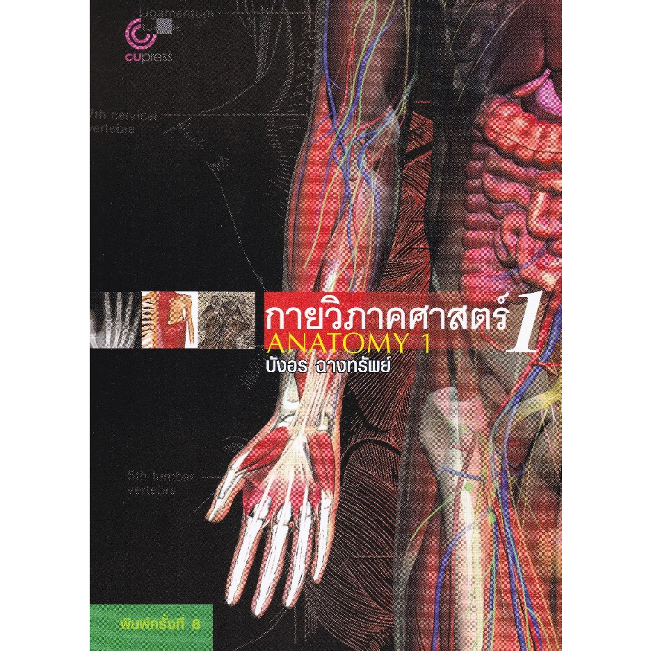 [ศูนย์หนังสือจุฬาฯ] กายวิภาคศาสตร์ 1 (ANATOMY 1) (9789749941911)