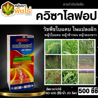 🌽 เรดโรดอฟ (ควิซาโลฟอป-พี-เอทิล5%EC) 500มล. ฆ่าใบแคบในแปลงผัก