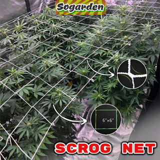 ตาข่ายปลูกต้นไม้ Scrog Net ตาข่ายไม้เลื้อย ตาข่ายปลูกผัก สําหรับเถาวัลย์พืช คลาน ทําสวน