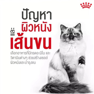 Royal Canin Hair & Skin Care(แบ่งขาย) สูตรดูแลผิวหนังและเส้นขน อายุ 1 ปีขึ้นไป (โรยัล คานิน)