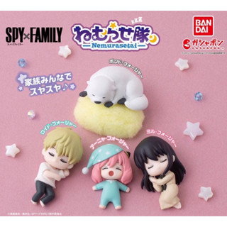 พร้อมส่ง🍊 กาชาปอง SPY×FAMILY Sleeping