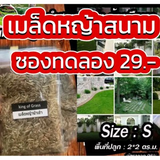 เมล็ดหญ้าสนาม เมล็ดหญ้านวลน้อย หญ้าสนามทำสวน size S