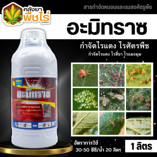 🌽 อะมิทราซ (อะมิทราซ) 1ลิตร ใช้ป้องกันกำจัดไรแดง ไรสี่ขา ไรแมงมุม