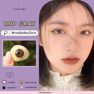 RNP gray คอนแทคเลนส์ ขนาดมินิ