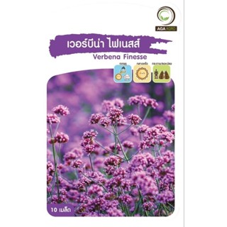 เมล็ดพันธุ์ ดอกไม้ เวอร์บีน่า ไฟเนสส์ (Verbena Finesse)