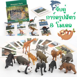 จับคู่การ์ดรูปสัตว์ + โมเดล montessori จับคู่ matching model animal dinosaur