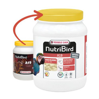 NutriBird A19 800 g. อาหารลูกป้อน สำหรับลูกนกที่ต้องการพลังงานไขมันสูง 800 กรัม