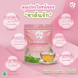 (1แถม1) ชาต้นรัก ชาหัวปลี ขิง ใบเตย เพิ่มน้ำนม กระตุ้นน้ำนม บำรุงน้ำนม แก้ปัญหา น้ำนมน้อย หด หาย